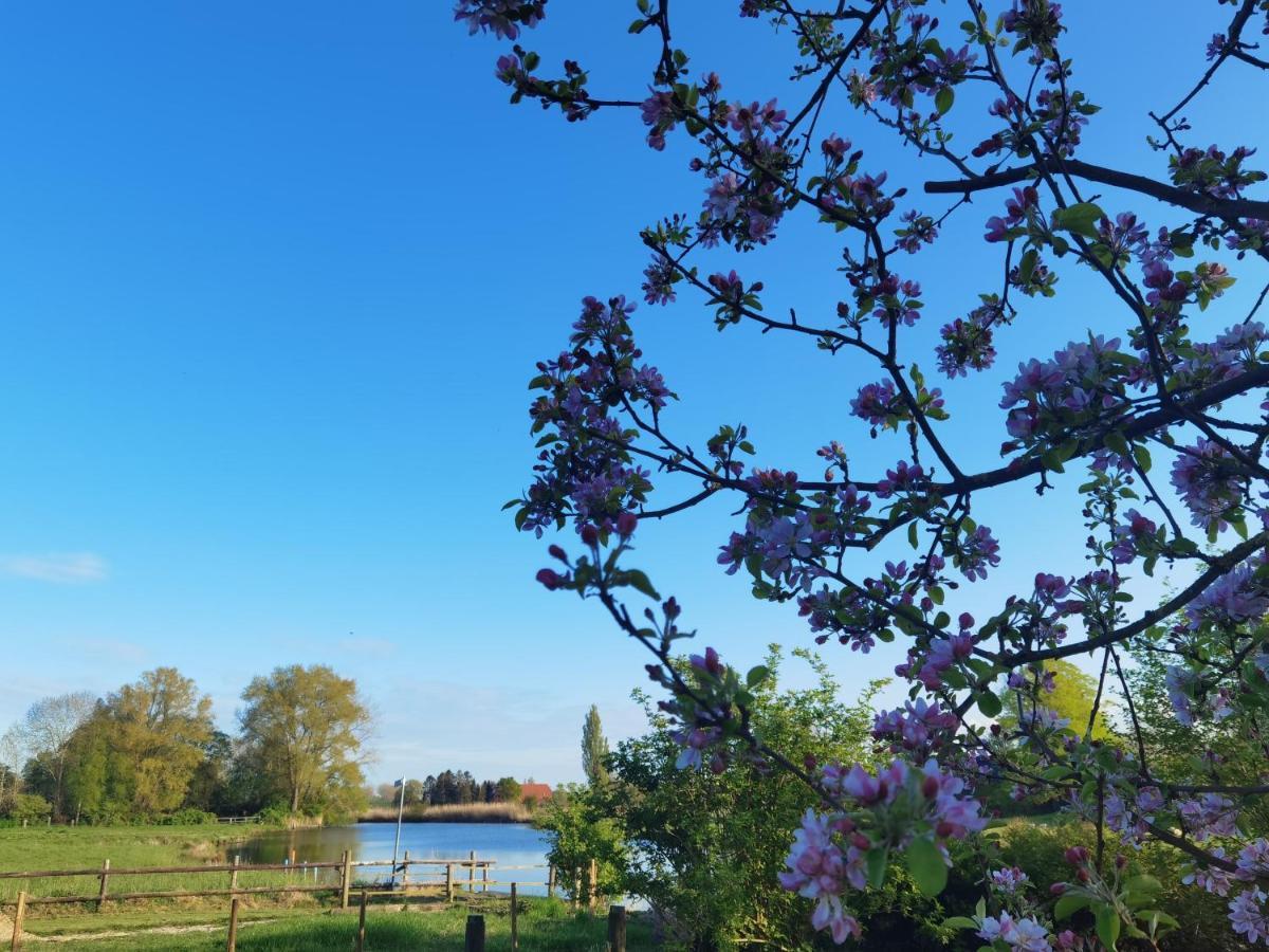 Stedinger Landhotel & Cafe Berne Zewnętrze zdjęcie